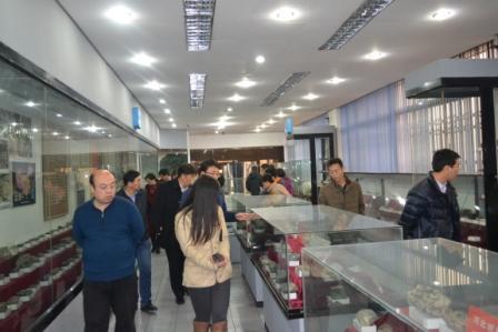 与会老师参观37000cm威尼斯地质博物馆.JPG 与会老师参观37000cm威尼斯地质博物馆.JPG